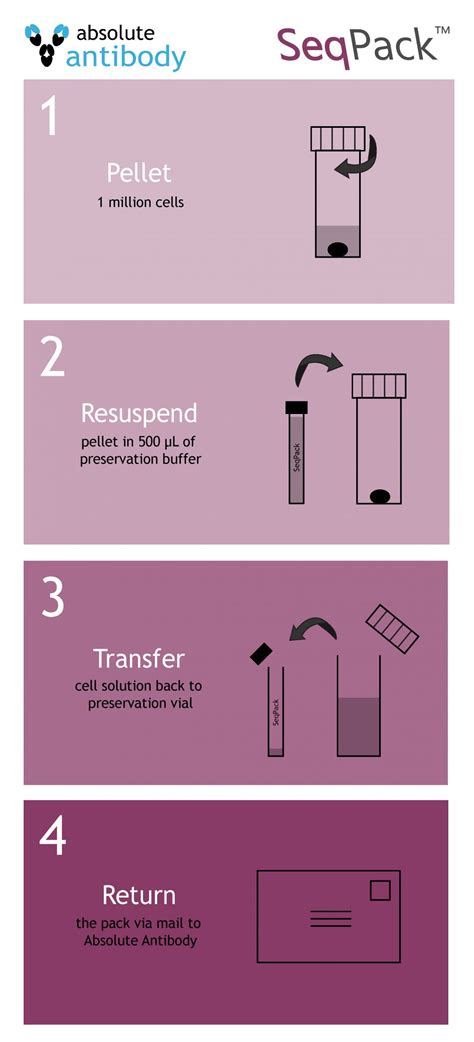 Hybridoma Preservation Kit For Antibody Sequencing Absolute Antibody