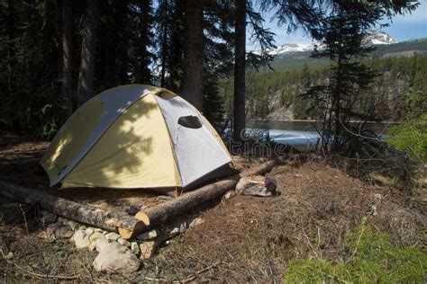 Tent Set Up On Campsite Stock Image Image Of Area Tent 100156419