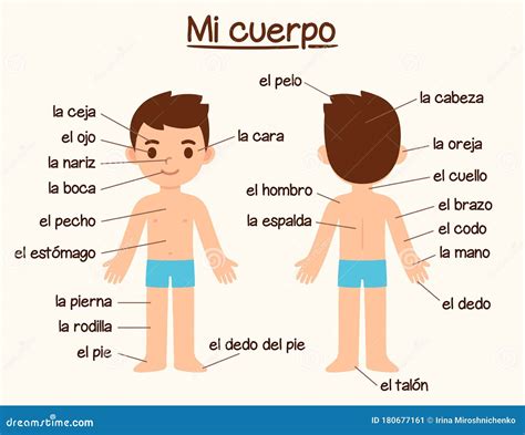 Body Parts In Spanish Worksheet – Pro Worksheet