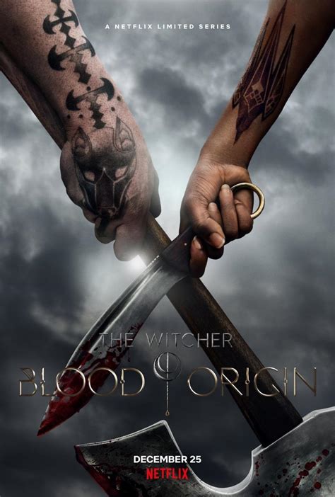 The Witcher Blood Origin T01 1080p Ligero Dual Identi