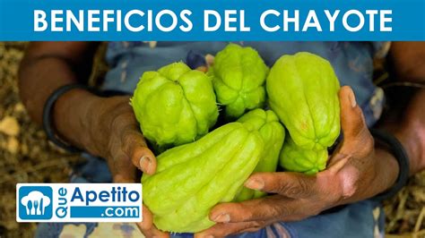 8 Propiedades Y Beneficios Del CHAYOTE QueApetito YouTube