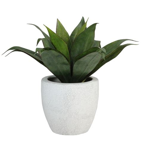 Northlight 13 In White Indoor Agave Artificial Plant In The Artificial