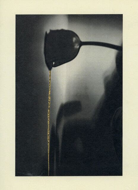 Shulan Wang Golden Dreams 5 2022 Available For Sale Artsy
