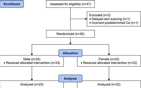 Figure 1 From Sex Related Differences In Effect Site Concentration Of Remifentanil For