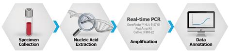 Molecular Diagnosis Osang Healthcare