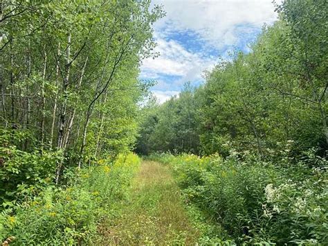 1000 Acres Of Recreational Land For Sale In Argonne Wisconsin