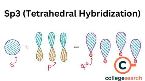 Sp3 Hybridization Definitions Examples Properties Electronic Configuration Sigma Bonds And