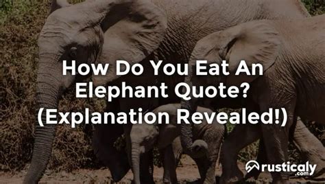 How Do You Eat An Elephant Quote Easy And Clear Answer