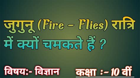 जुगुनू Fire Flies रात्रि में क्यों चमकते हैं Jugunu Kya Hota Hai