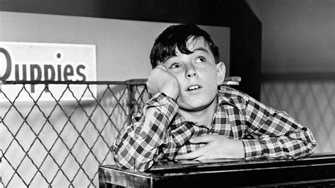 Leave It To Beaver Star Jerry Mathers Featured On The Classic Tv Podcast