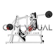 Pendulum Squat Is This Unique Squat Variation Right For You Atelier