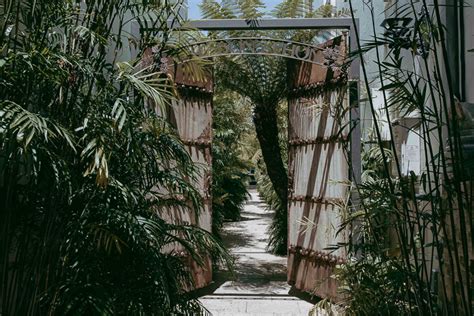 Bonython Cafe And Offices Paddington Sydney Carmen Glenn Photography
