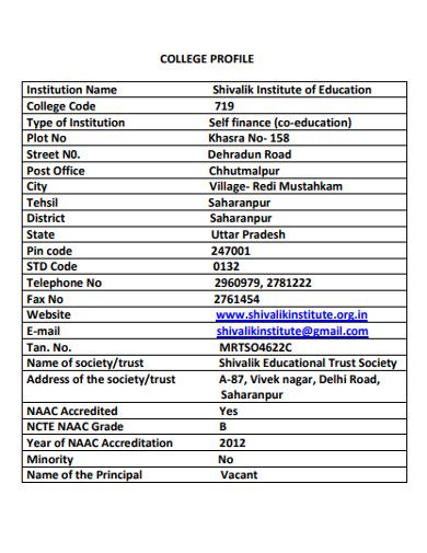 College Profile 19 Examples Format Pdf