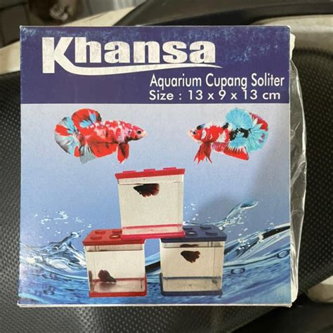 Jual Jual Soliter Ikan Cupang Khansa Aquarium Ikan Cupang Aquarium