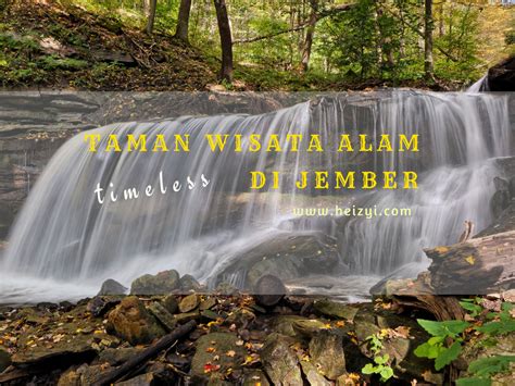 10 Tempat Wisata Jember Terbaik yang Harus Anda Kunjungi - Tempat Wisata