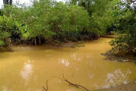 Foto Warga IKN Terdampak Proyek Normalisasi Sungai Sepaku BWS