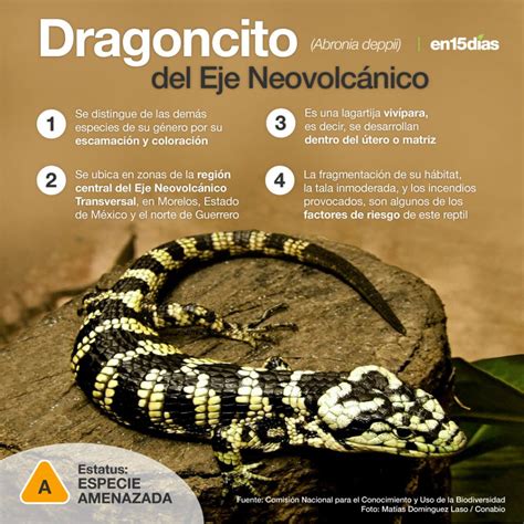 Especies Amenazadas en México