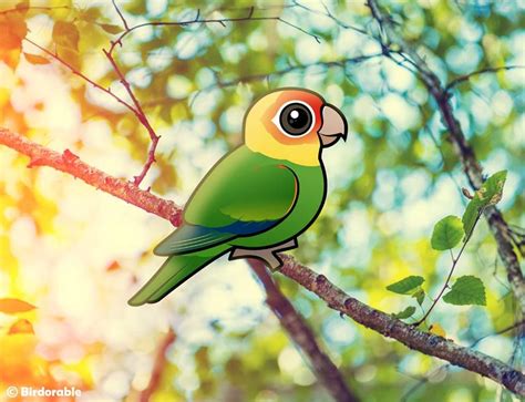 Cute Carolina Parakeet By Birdorable