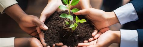 Día Mundial Del Medio Ambiente