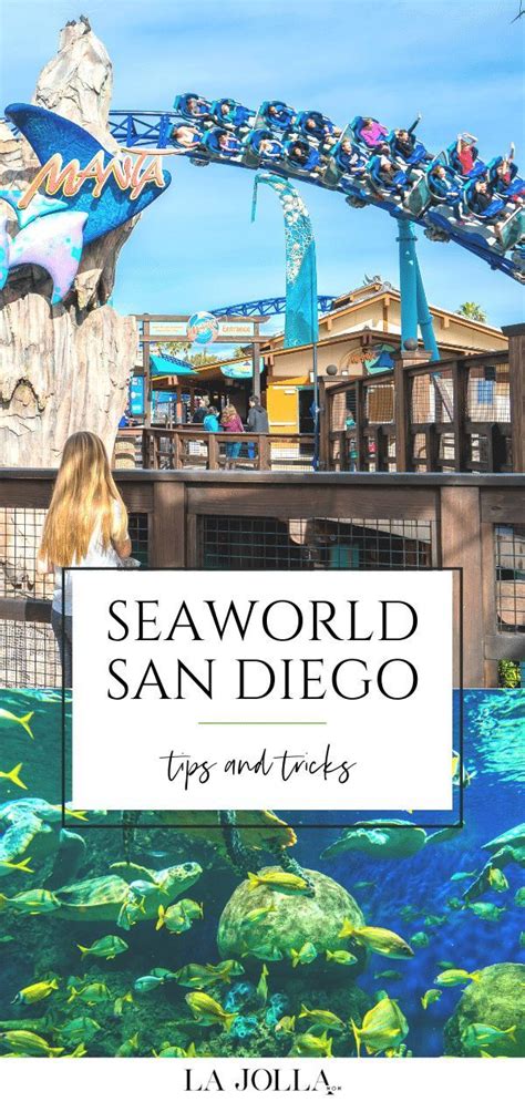 25 Seaworld San Diego Tips And Tricks For A Fun Day Out In 2024