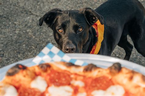 Faq — Hallows Pizza