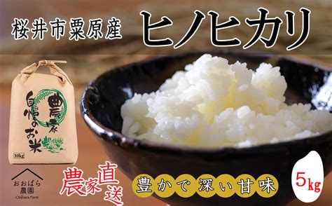 【10月から発送予定】令和6年度産 桜井市粟原産ヒノヒカリ 5kg ふるさとパレット ～東急グループのふるさと納税～