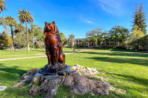 Los Gatos High School Los Gatos Ca Rankings And Reviews