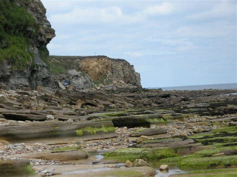 Uk Fossil Collecting