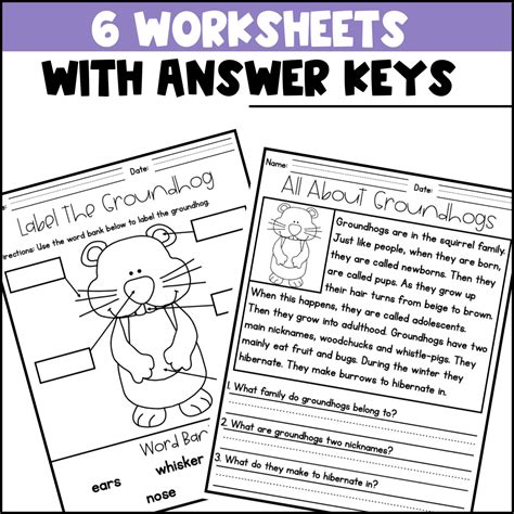 Life Cycle of a Groundhog Activities, Worksheets, Booklet - Groundhog ...