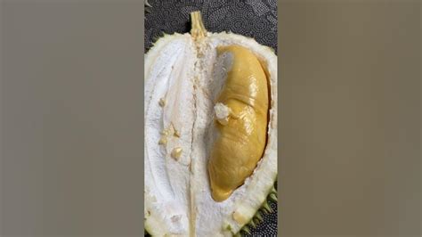 Unboxing Durian Musang King Sumatera Barat The King Of Durian Durian Durianlokal Sumbar