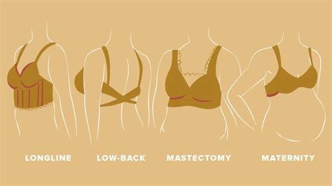 Types Of Bra Chart