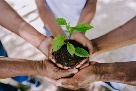 Qu Es La Cultura Ambiental Y Cual Es Su Objetivo Blog Tecnolog A