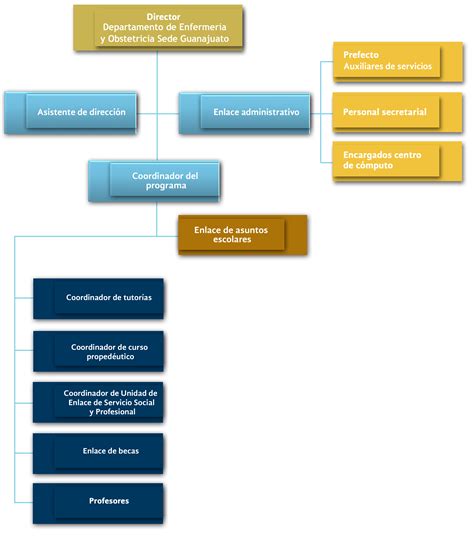 Estructura organizacional Departamento de Enfermería Guanajuato