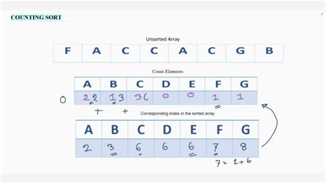 Counting Sort Algorithm 1 Example Youtube