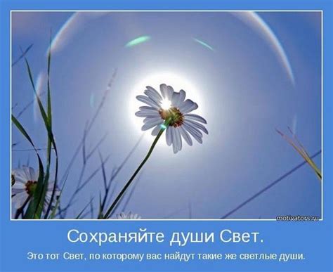 Свет Души. - Возрождение Души для Новой жизни