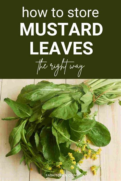 Mustard Leaves 101: Nutrition, Benefits, How To Use, Buy, Store | Mustard Leaves: A Complete ...