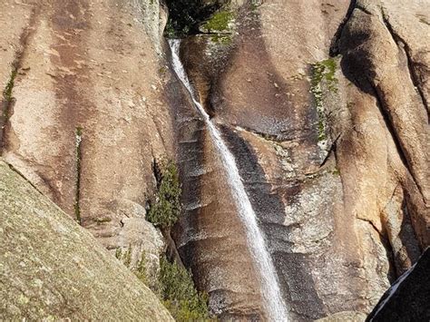 Wikiloc Ruta Manzanares El Real Senda Maeso Pradera Del Yelmo Collado