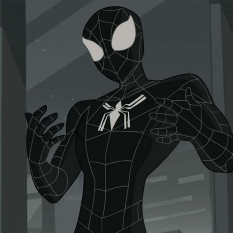 Download All Black Cartoon Spiderman Pfp Wallpaper