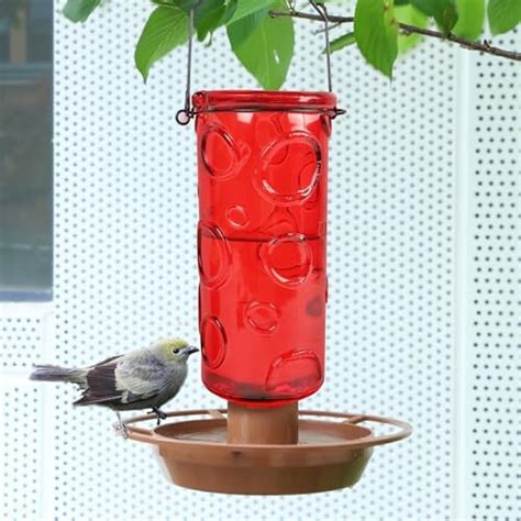 Amazon Perky Pet Mason Jar Wild Bird Waterer Blue Wild