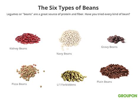 Different Types Different Types Of Beans