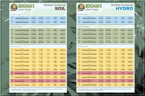 Bergmans Plant Food Compound Fertilizer Observations Soil Grow