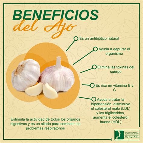 Beneficios Del Ajo Beneficios Del Ajo Frutas Y Verduras Beneficios