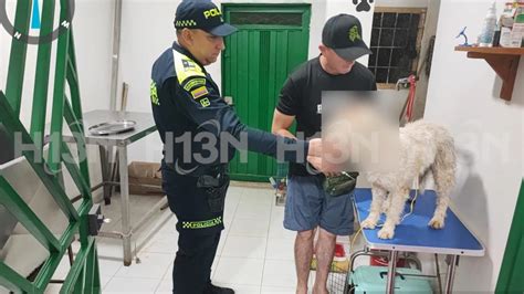 Fotos Un Perrito Fue Atacado A Machete En San Luis Antioquia