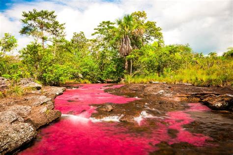 Excursi N A Ca O Cristales Desde La Macarena Civitatis