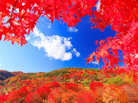 34 これぞ絶景！ 全国紅葉スポット12選 紅葉スポット All About