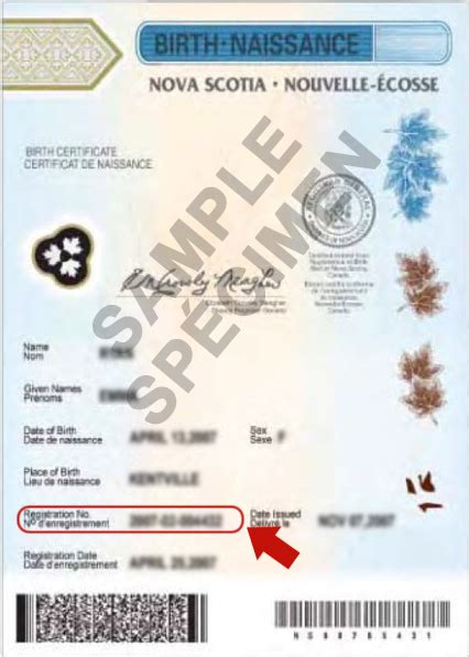 Where Is My Status In Canada Document Number