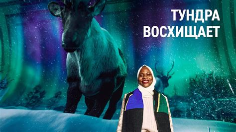 Впечатления гостей ПМЭФ от арт-проекта «Открывая тундру» - YouTube