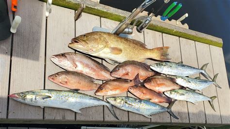 Snapper And Grouper Fishing In Tampa Bay YouTube