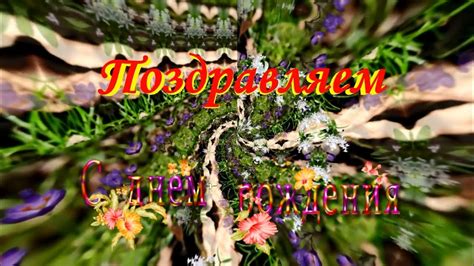 ФотоШоу PRO!!! Проекты ФотоШоу PRO!!! Поздравление С Днём Рождения ...