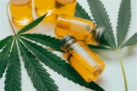 O Que é Cannabidiol Cbd Um Guia Completo